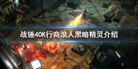 《战锤40K行商浪人》黑暗精灵介绍