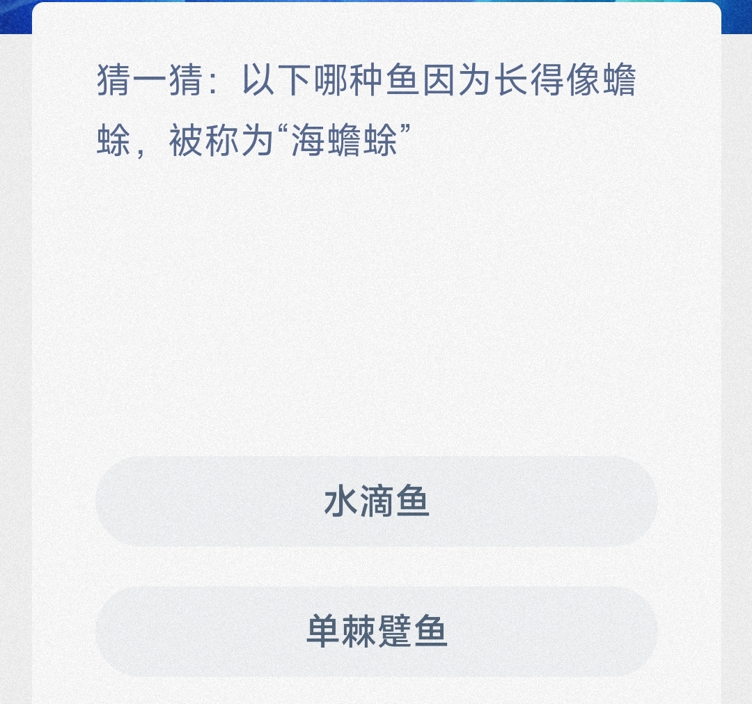 猜一猜以下哪种鱼因为长得像蟾蜍被称为海蟾蜍水滴鱼还是