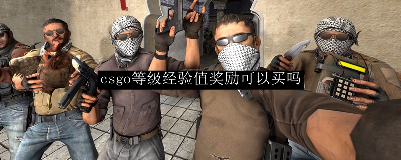 csgo等级经验值奖励可以买吗