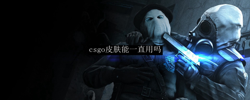 csgo皮肤能一直用吗