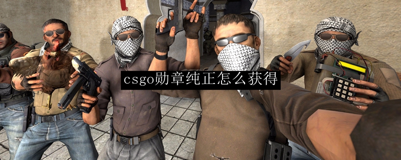 csgo勋章纯正怎么获得