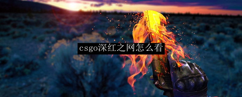 csgo深红之网怎么看