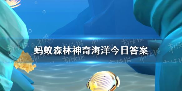 猜一猜:海月水母因为以下哪种特征得名 神奇海洋2月19日答案最新