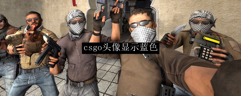 csgo头像显示蓝色